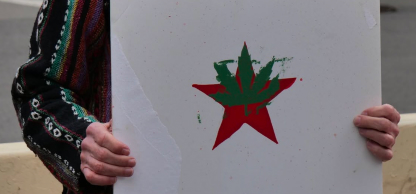 Cannabis legalization protest sign at a New York City demonstration